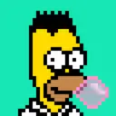 HomerPunks8946