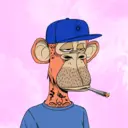 CardanoBoredApe4987