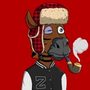 ZESTYZEBRA169