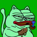 CHONKS3595