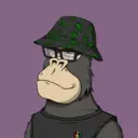 ChilledKong4654