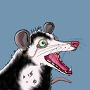 Possum #4227