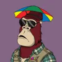 ChilledKong5362
