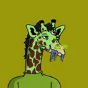 GenuineGiraffe_0499