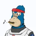 ChilledKong8874