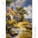 BostonHawksHockey381