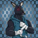 kangaroofightsociety#3237