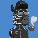 ZESTYZEBRA3629