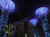 GardensByTheBay02