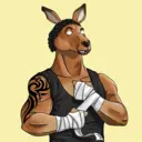 kangaroofightsociety#3998