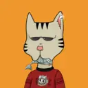 BossCatRocketClub6665