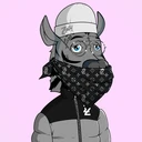 ZESTYZEBRA4685