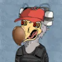 DoDo #0638
