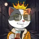 CATSTANBUL201
