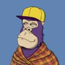 ChilledKong5067