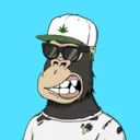 ChilledKong5117