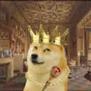 Doge179