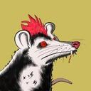 Possum #647