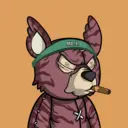 SavageBears2887