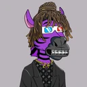 ZESTYZEBRA742