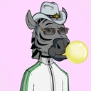 ZESTYZEBRA5454