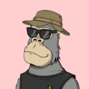 ChilledKong5385