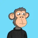 Monkes311