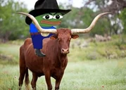 PEPE BULL