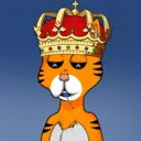 BossCatRocketClub1141