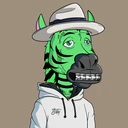 ZESTYZEBRA3397