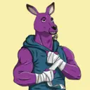 kangaroofightsociety#95