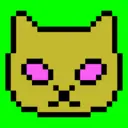 name494