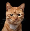 MR. OYEN