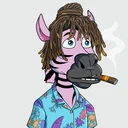ZESTYZEBRA2376