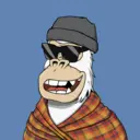 ChilledKong0355