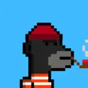 MonkeyWifhat1546