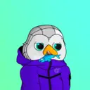 tappy2455