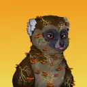 GaiaMadasLemur2324