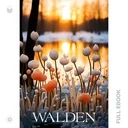 Walden439