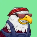 Hawk #0134