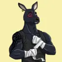 kangaroofightsociety#510