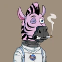 ZESTYZEBRA4262