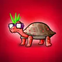 AwkwardTurtles575