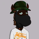 ZESTYZEBRA5087