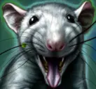 HappyRat