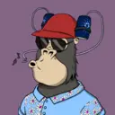 ChilledKong2657