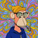 CardanoBoredApe4342