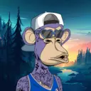CardanoBoredApe784