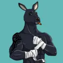 kangaroofightsociety#2703