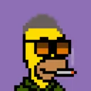 HomerPunks9672